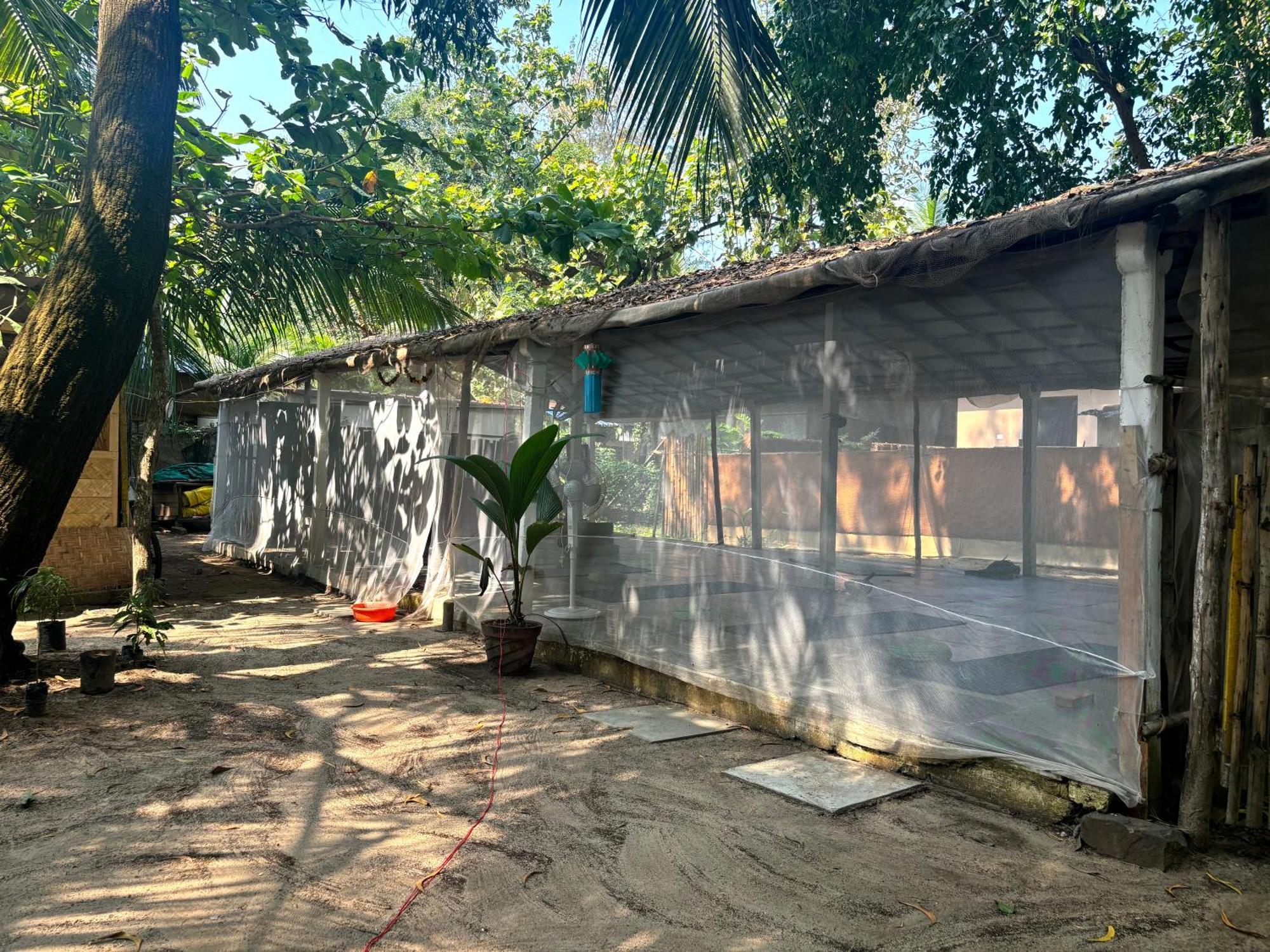 Ruban Yoga Hotel Palolem Kültér fotó